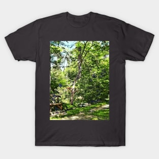 Path in the Park T-Shirt